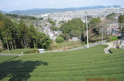 �q�m����n