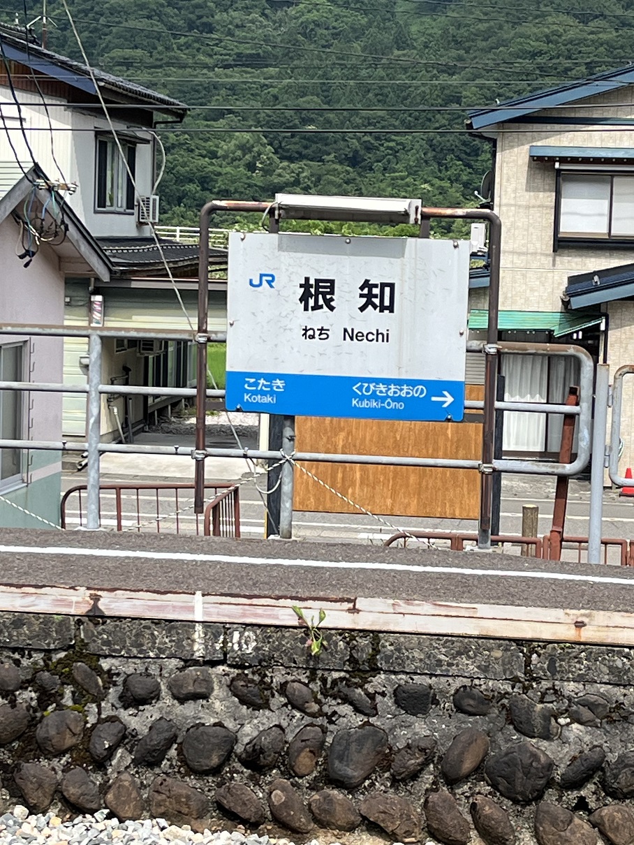 根知到着